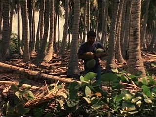 Outdoor softcore lesbo action